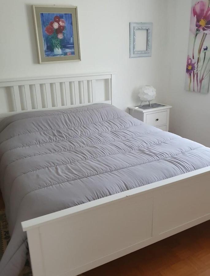 הוילה סרניו La Casa Rosa מראה חיצוני תמונה